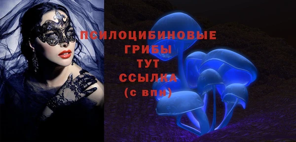 mdma Няндома